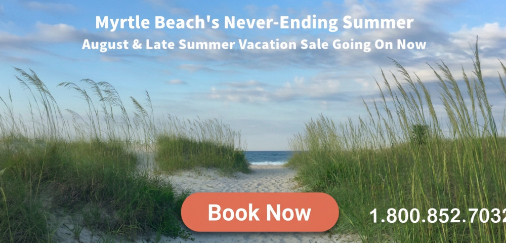 End of Summer 1000x400 png